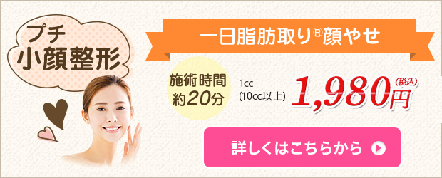 1日脂肪取り顔やせ