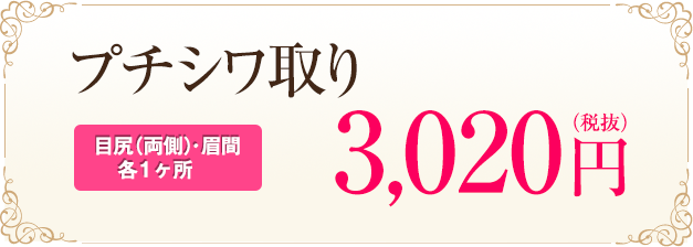プチシワ取り[目尻（両側）･眉間各1ヶ所] トライアル 500円（税抜）