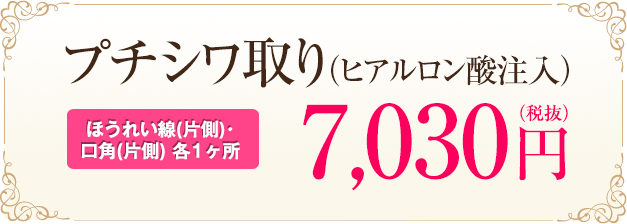 プチシワ取り（ヒアルロン酸注入）[ほうれい線（片側）・口角(片側）各1ヶ所] トライアル 500円（税抜）