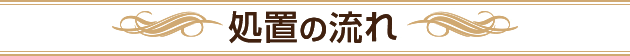 処置の流れ