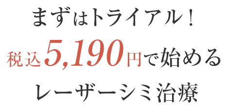 トライアル実施中