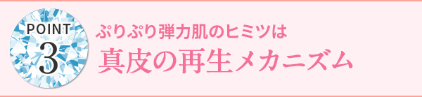 真皮の再生メカニズム