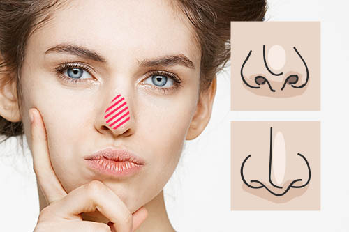 もっとも目立つ鼻の先端部分「鼻尖（びせん）」