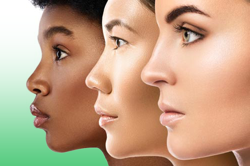 東洋・西洋で異なる鼻の特徴