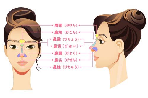 まずは鼻のパーツの名称を知ろう