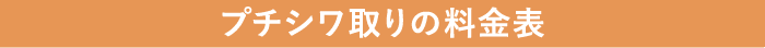プチシワ取りの料金表