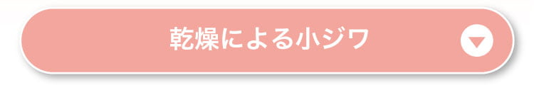 乾燥による小ジワ