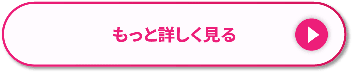もっと詳しく見る