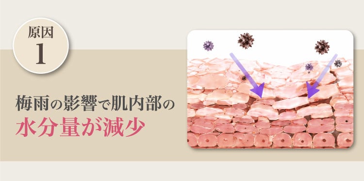 原因1/梅雨の​影響で肌内部の​水分量が​減少