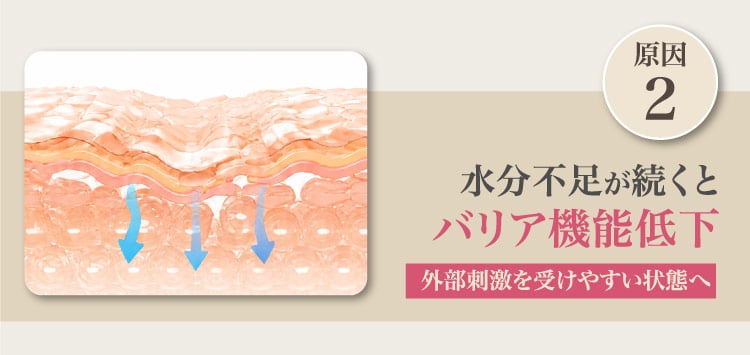 原因2/水分​不​足が​続くと​バリア機能低下/外部​刺激を​受けやすい​状態へ​