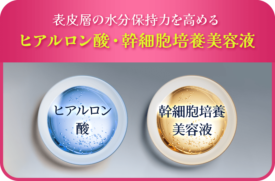 表皮層の水分保持力を高めるヒアルロン酸・幹細胞培養美容液