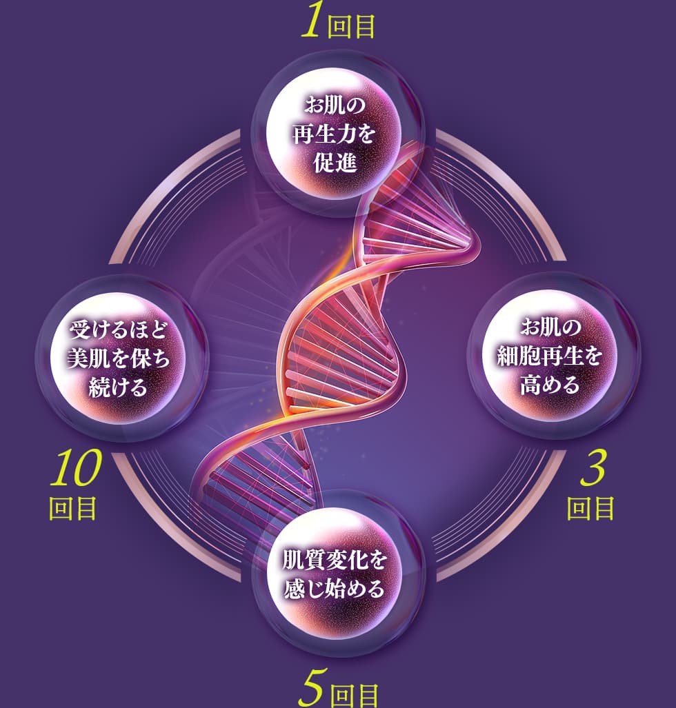1回目：お肌の再生力を促進 3回目：お肌の細胞再生を高める 5回目：肌質変化を感じ始める 10回目：受けるほど美肌を保ち続ける