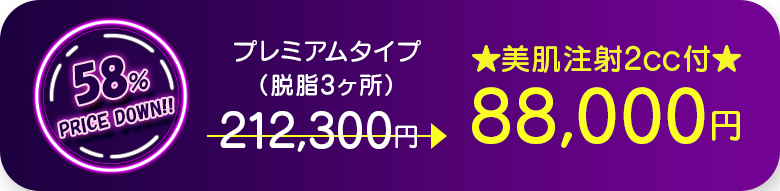 プレミアムタイプ（脱脂3ヶ所） 58％PRICE DOWN!! ★美肌注射2cc付★