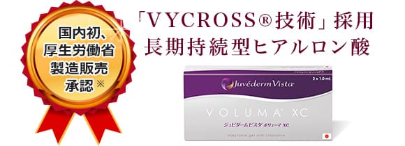 国内初、厚生労働省製造販売承認 「VYCROSS技術®」採用長期持続型ヒアルロン酸【画像】