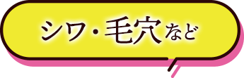 シワ・毛穴など