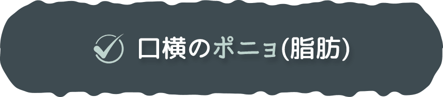 ✓口横のポニョ（脂肪）