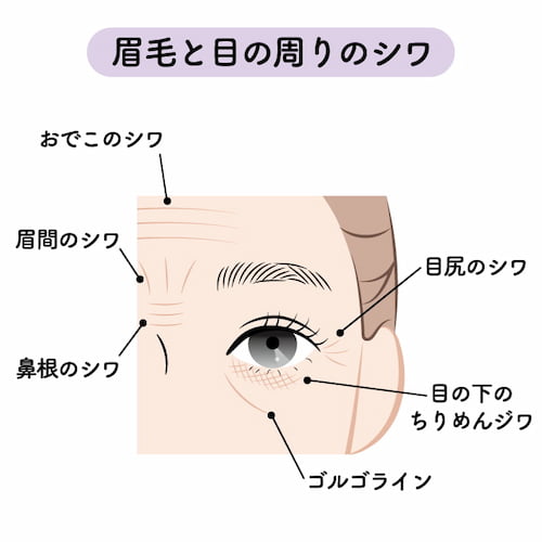 ちりめんジワができやすい部位と特徴