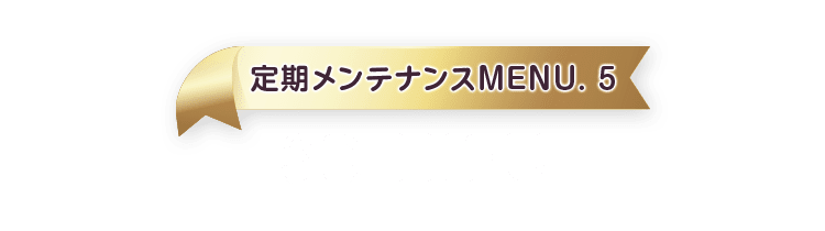 定期メンテナンスMENU.5 3D HIFU