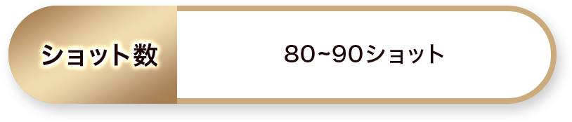 ショット数：80～90ショット