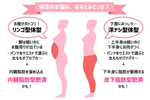 スリム・プログラム&reg;で「隠れ肥満」も撃退