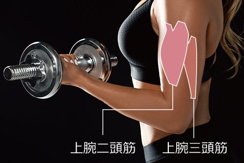 二の腕痩せ：二の腕が太くなるのはなぜ？