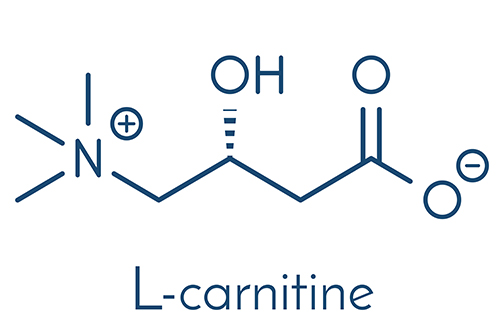 L-カルニチンの働き
