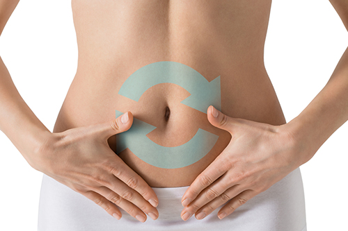 空腹の時間に細胞が生まれ変わる「オートファジー」